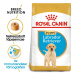 Royal Canin Labrador Retriever Puppy - granule pro štěňata psů labradorského retrívra 3 kg
