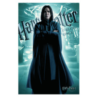 Umělecký tisk Harry Potter - Severus Snape, 26.7 × 40 cm