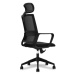 Kancelářská židle ForHealth GamaPro COC-2010-BK