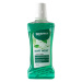 DentaMax ústní voda Soft Mint 500 ml