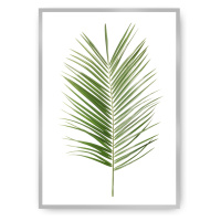 Dekoria Plakát Palm Leaf Green, 40 x 50 cm, Vybrat rám: Stříbrný