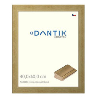 DANTIK rámeček 40 × 50, ANDRÉ velký starostříbrný sklo čiré