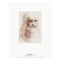 Obrazová reprodukce Self Portrait (L'Autoritratto di Leonardo da Vinci) - Leonardo da Vinci, 30 