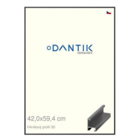 DANTIK rámeček 42 × 59,4, ALU profil 6030 Dýha barevný šedý tmavý plexi čiré