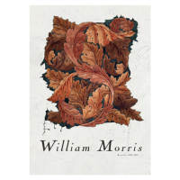 Ilustrace Acanthus, William Morris, (30 x 40 cm)
