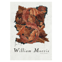 Ilustrace Acanthus, William Morris, 30 × 40 cm