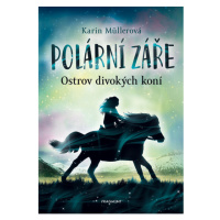 Polární záře - Ostrov divokých koní