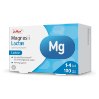 Dr. Max Magnesii Lactas 100 tablet