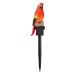 LIVARNO home Dekorativní solární svítidlo (červený papoušek)