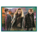 Trefl Puzzle Harry Potter, 10v1