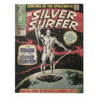 Obraz na plátně Fantastic Four 2: Silver Surfer - The Origin, (30 x 40 cm)