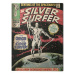 Obraz na plátně Fantastic Four 2: Silver Surfer - The Origin, (30 x 40 cm)