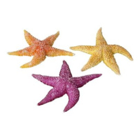 Ebi Aqua Della mořské hvězdice mix 17 × 15 × 2,3 cm 1 ks