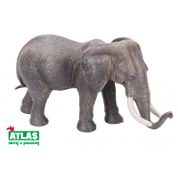 Atlas E Slonice africká 17cm
