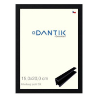 DANTIK rámeček 15 × 20, ALU profil 7003 Černý Florentinský sklo čiré