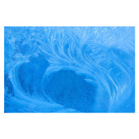 Ilustrace Frost pattern on window, Mirko Stelzner, (40 x 26.7 cm)
