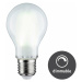PAULMANN LED Filament žárovka bílá/mat 9W E27 denní bílá stmívatelné 288.16