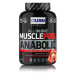 USN Muscle Fuel Anabolic, 2000g, jahoda