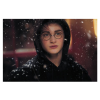 Umělecký tisk Harry Potter - Winter in Hogsmeade, 40x26.7 cm