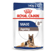 ROYAL CANIN MAXI Ageing 8+ mokré krmivo pro starší velké psy 10 x 140 g