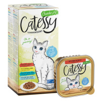 Mixpack Catessy mističky 8 x 100 g - kousky v omáčce mix