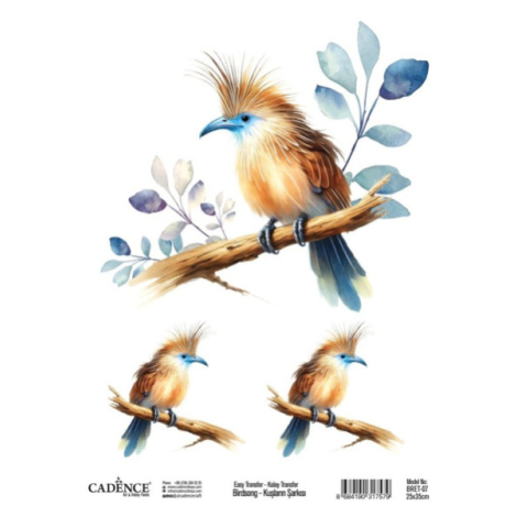 Cadence Transferový obrázek Cadence Easy Transfer, 25x35 cm - Pták s modrým zobákem