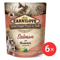 Carnilove Dog Pouch Paté Salmon with Blueberries for Puppies 6 × 300 g