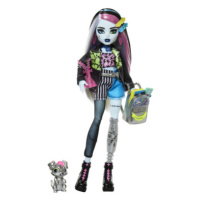 Monster High příšerka monsterka - Frankie