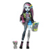 Monster High příšerka monsterka - Frankie