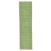 D'Addario Polypropylene Guitar Strap Green