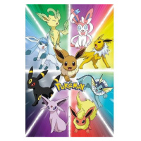 Plakát Pokémon - Eevee Evolution