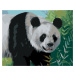 Malování podle čísel - PANDA (D. RUSTY RUST) Rozměr: 40x50 cm, Rámování: vypnuté plátno na rám