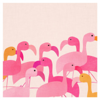 Ilustrace Flamingos, Kristian Gallagher, 40 × 40 cm