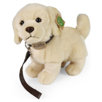 Plyšový pes zlatý retrívr stojící s vodítkem 25 cm ECO-FRIENDLY