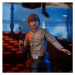 Busta Star Wars: Episode V - Luke Skywalker
