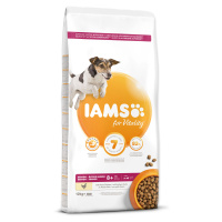 IAMS Dog Senior Small & Medium Chicken 12 kg