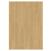 Vinylová podlaha Creation 55 Lounge Oak Natural 1273 - lepená 230x1500 mm