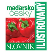 Ilustrovaný maďarsko – český slovník