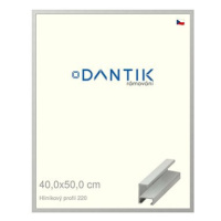 DANTIK rámeček 40 × 50, ALU profil 6220 Stříbrný matný plexi čiré