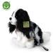 Rappa Plyšový pes kavalier s vodítkem 27 cm Eco Friendly