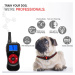 Patpet T502 elektronický výcvikový obojek - pro 1 psa