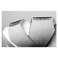 Fotografie Structure, Wayne Pearson, 40 × 26.7 cm