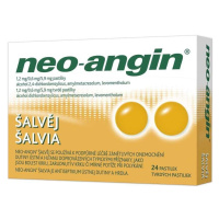 NEO-ANGIN ŠALVĚJ 1,2MG/0,6MG/5,9MG PAS 24