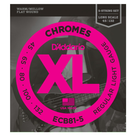 D'Addario ECB81-5 Chromes Regular Light - .045 - .132