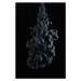 Fotografie Abstract paint splash background on black, banusevim, 26.7x40 cm