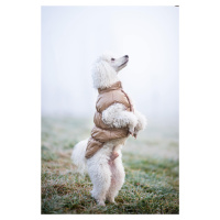 Vsepropejska Warm zimní bunda pro psa s kožichem Barva: Růžová, Délka zad (cm): 24, Obvod hrudní