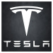 Dřevěný znak auta na zeď - Tesla