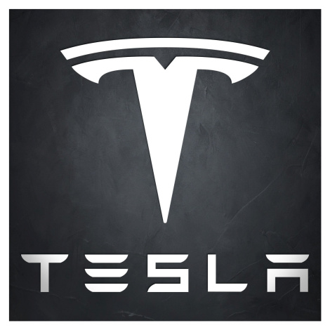 Dřevěný znak auta na zeď - Tesla DUBLEZ