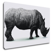 Impresi Obraz Nosorožec na bílém pozadí - 60 x 40 cm