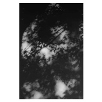 Fotografie Shadows of tree branches on a white wall, Jessica Aranda, 26.7 × 40 cm